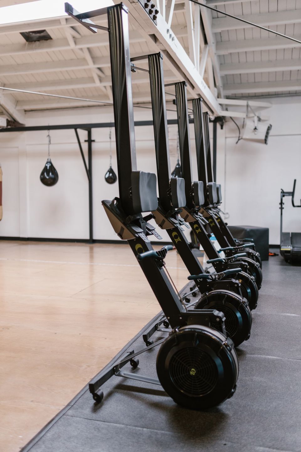 Gym at Tavrionix